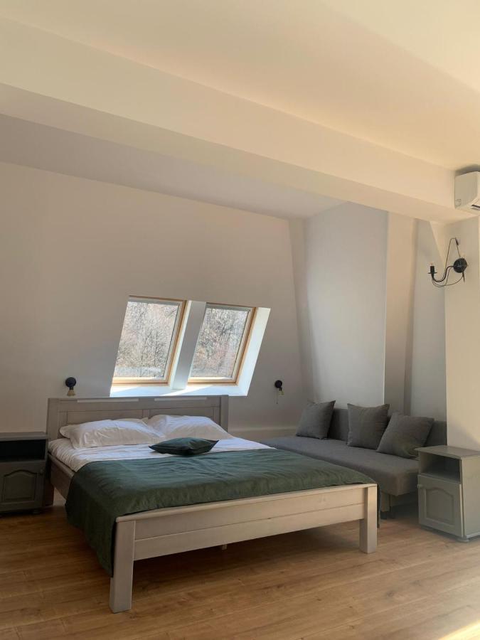 Pension Casa Vanatorilor Băile Olăneşti Kültér fotó