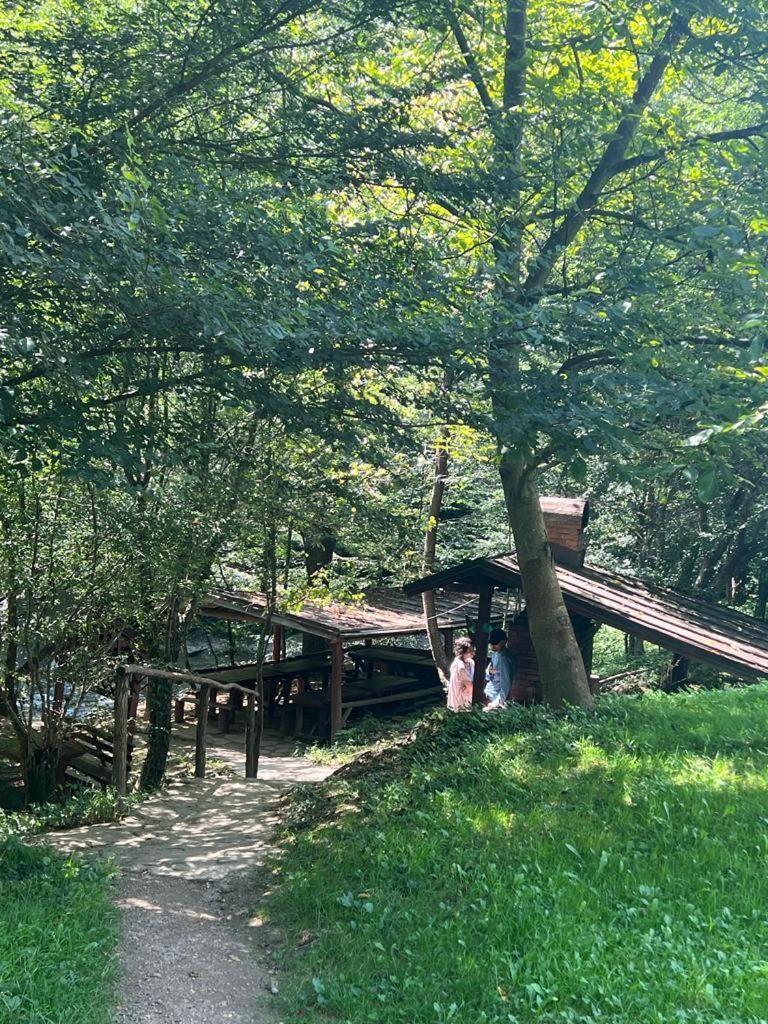Pension Casa Vanatorilor Băile Olăneşti Kültér fotó