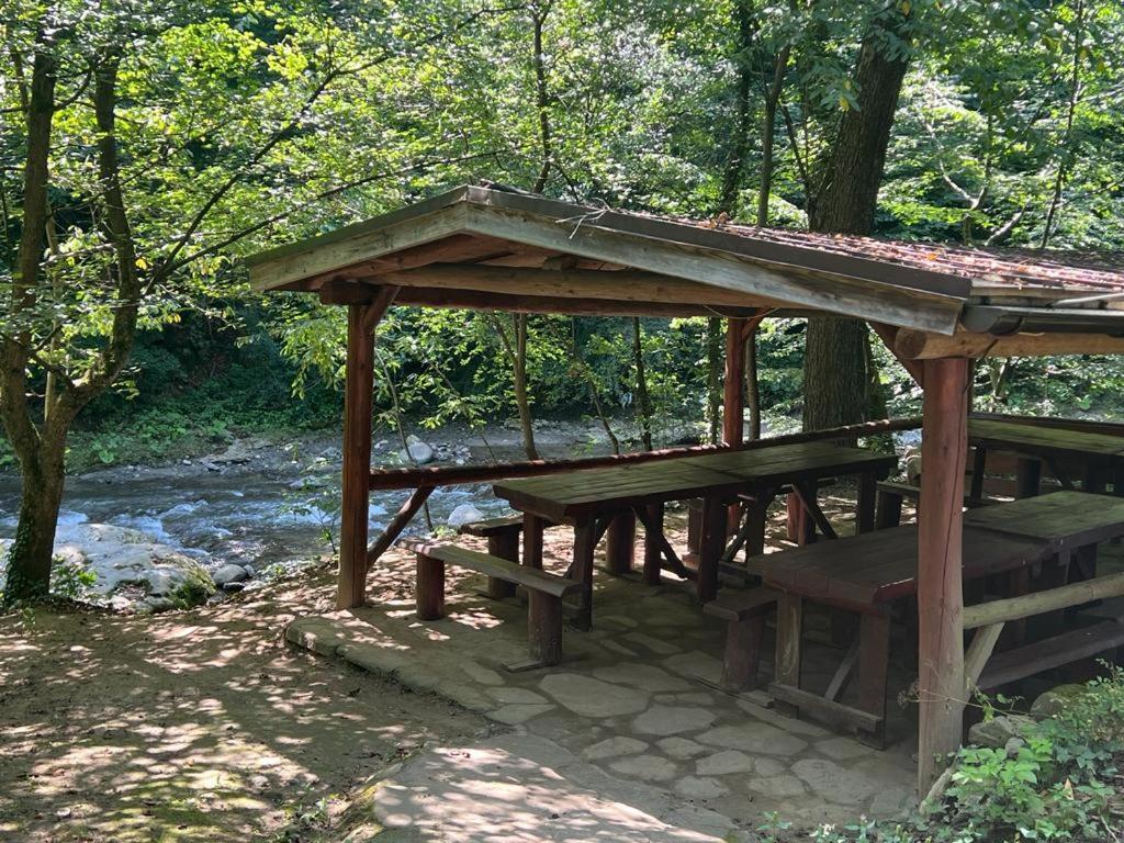 Pension Casa Vanatorilor Băile Olăneşti Kültér fotó