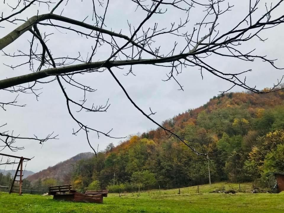 Pension Casa Vanatorilor Băile Olăneşti Kültér fotó