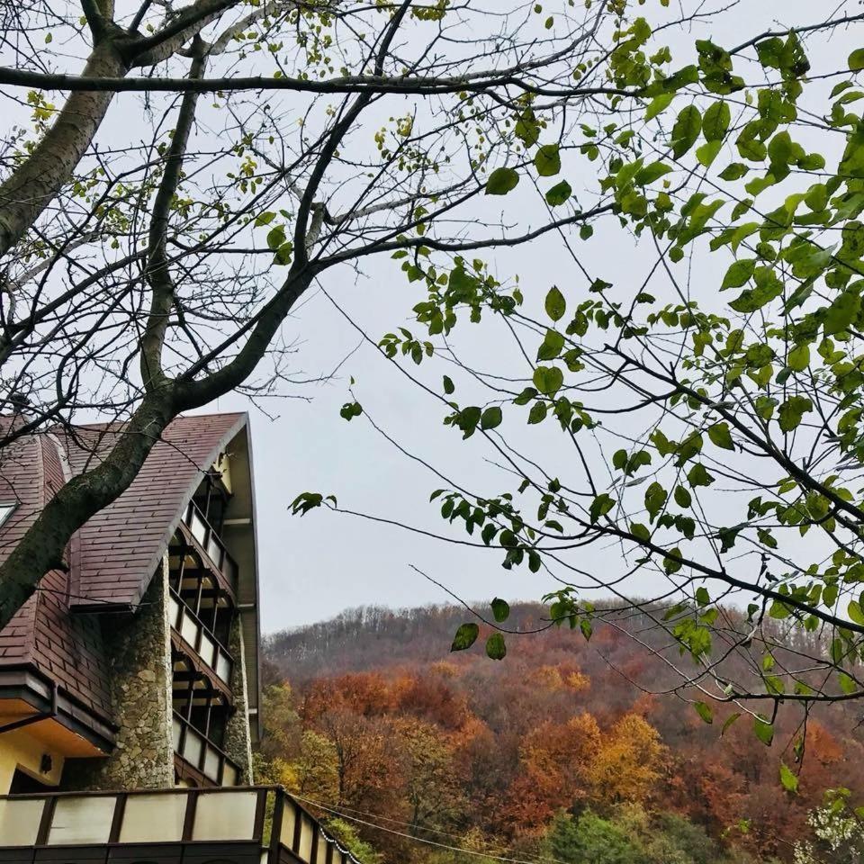 Pension Casa Vanatorilor Băile Olăneşti Kültér fotó