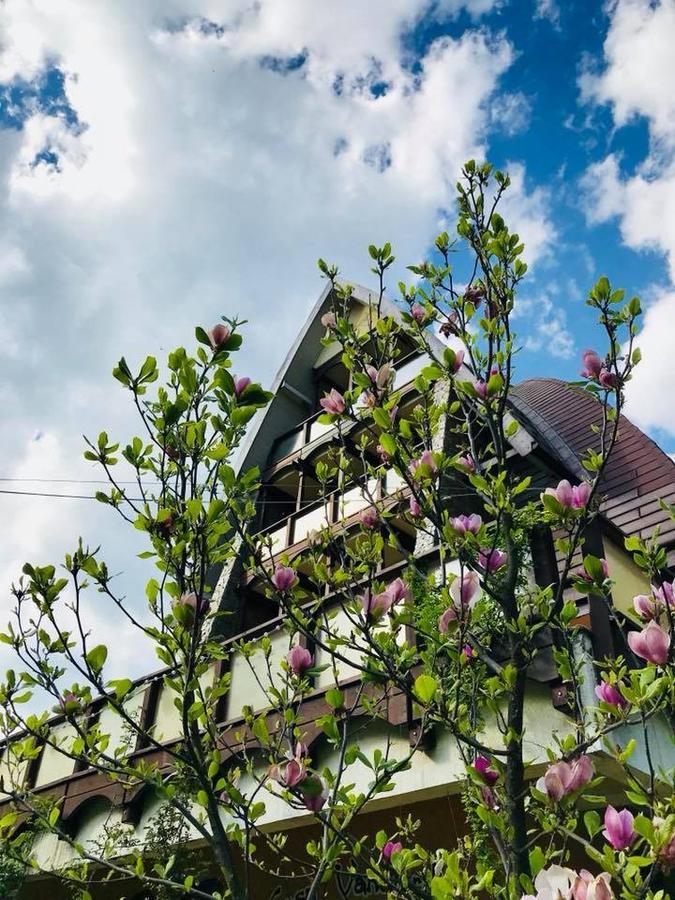 Pension Casa Vanatorilor Băile Olăneşti Kültér fotó